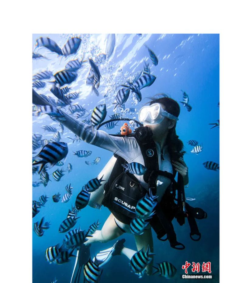 暑期旅游旺季，游客在大东海体验潜水，探索缤纷海底世界。