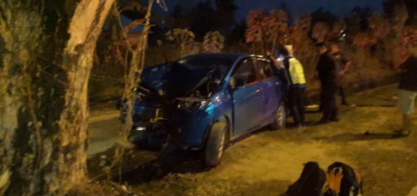 轿车撞大树司机丧命，警方在现场展开调查。