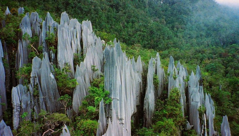 图示：姆鲁山是砂拉越第二大高峰，这里有经历150万年长期风化及雨水侵蚀而成的“尖峰石林”（The Pinnacles）天然景观。