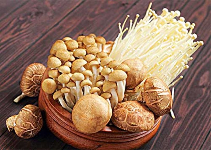 5种迹象是免疫力失调？ 这些食物增免疫抗病毒