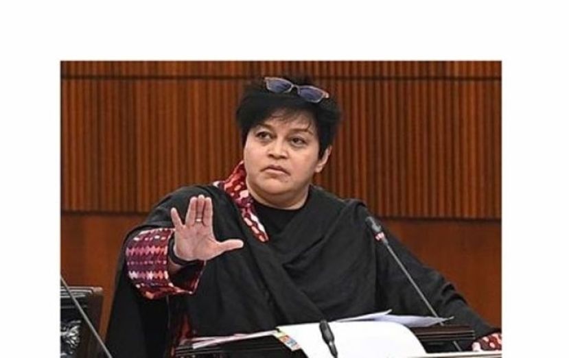 拿督斯里阿莎丽娜。