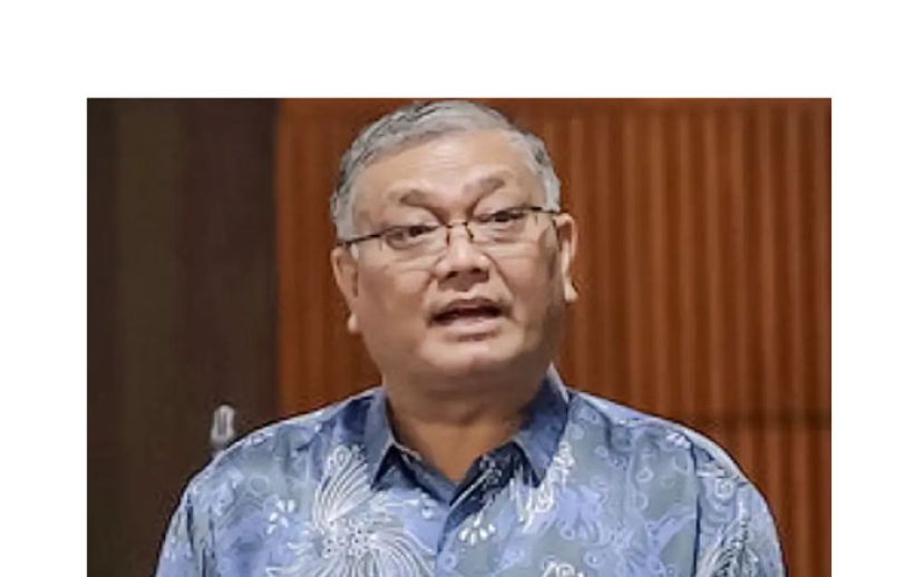 副内长三苏安努亚。