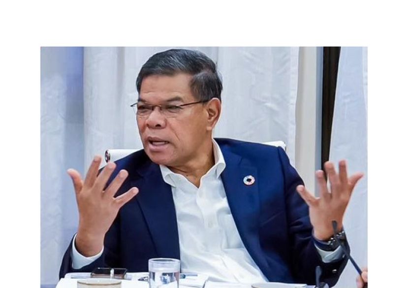 内政部长赛夫丁。