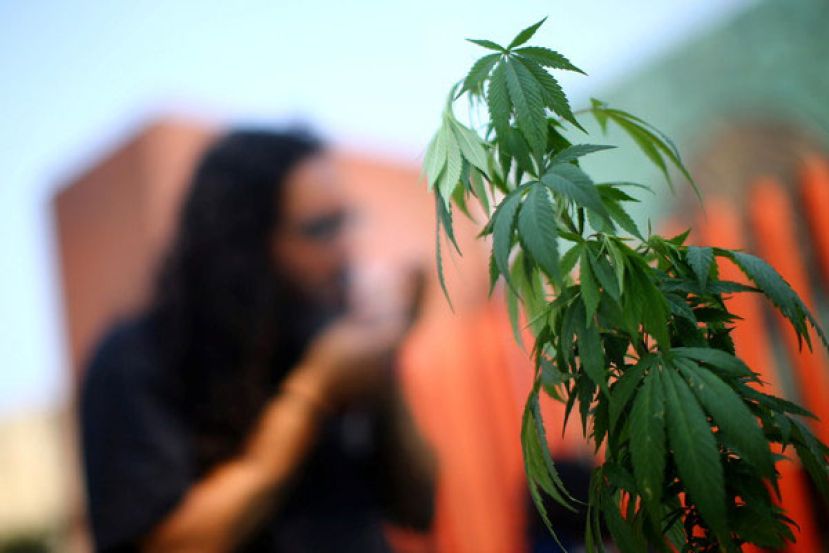 美国司法部23日宣布，将立即松绑部分大麻产品的限制。