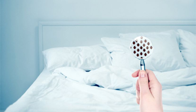 哈啾！消除致敏的&ldquo;室内空污&rdquo;有一套