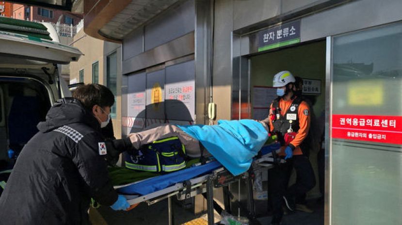 济州航空幸存的空服员表示，客机疑似是因鸟击坠毁。