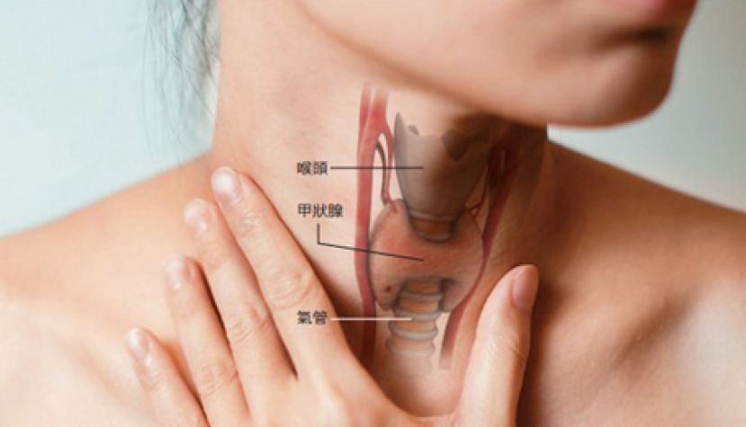 压力大易致&ldquo;甲状腺亢进&rdquo; 二症状要当心