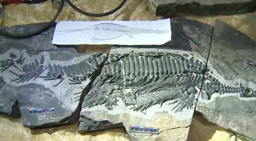 探访“中国化石第一村”落星村： 古化石带来“新生机”