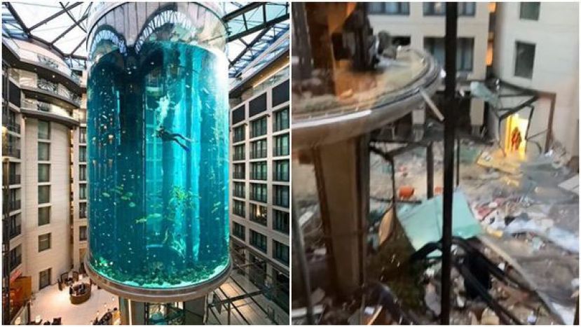 全球最大圆柱水族箱AquaDom于16日凌晨突然爆裂。