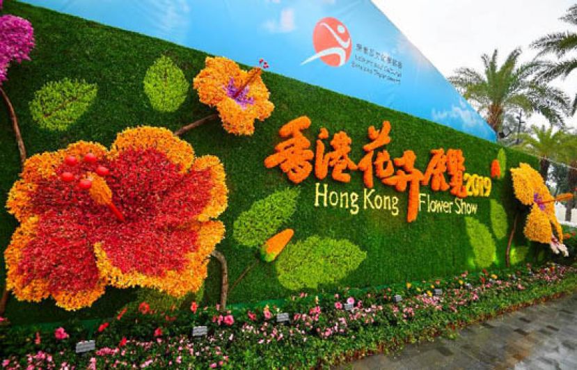 图示：香港花卉展览上的立体花墙。