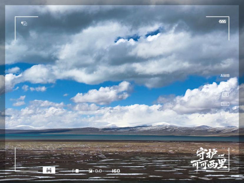 原来，你是这样的可可西里！