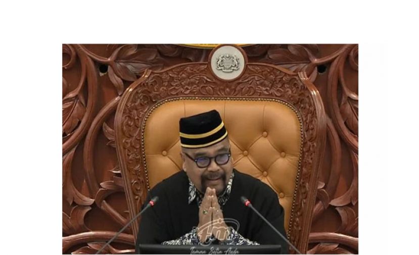 国会下议院副议长拿督南利。