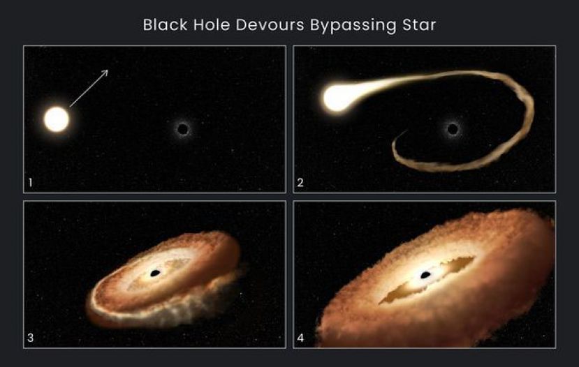 NASA公布当恒星被黑洞撕裂成甜甜圈状的想像图。