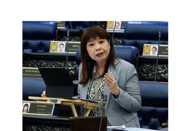 财政部副部长林慧英。