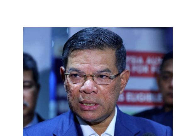 内政部长赛夫丁。