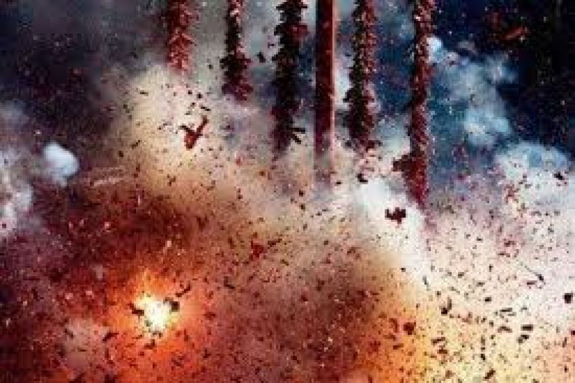 ４５种烟花鞭炮解禁  警允许有条件公开售卖