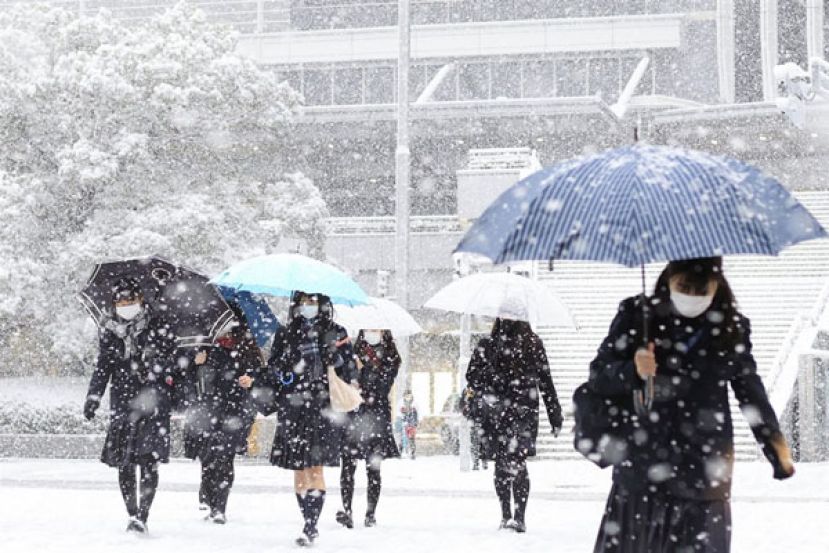 日本大雪已致17人死近百人伤　数万户停电