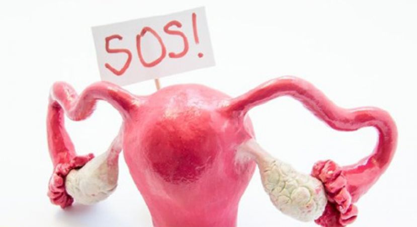 巨星预防罹癌&ldquo;摘卵巢&rdquo; 医师说话了