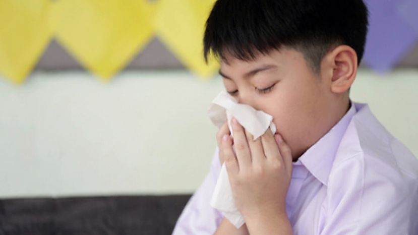 小孩鼻水直流卫生纸不离手　&ldquo;减敏治疗&rdquo;有望摆脱鼻过敏