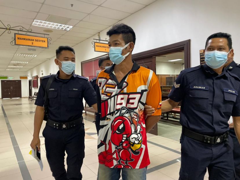 反悔的狼父一摄。