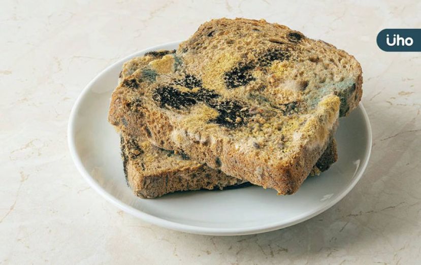 食物发霉只要切掉就好？  营养师：恐吃进致癌毒素最好直接丢