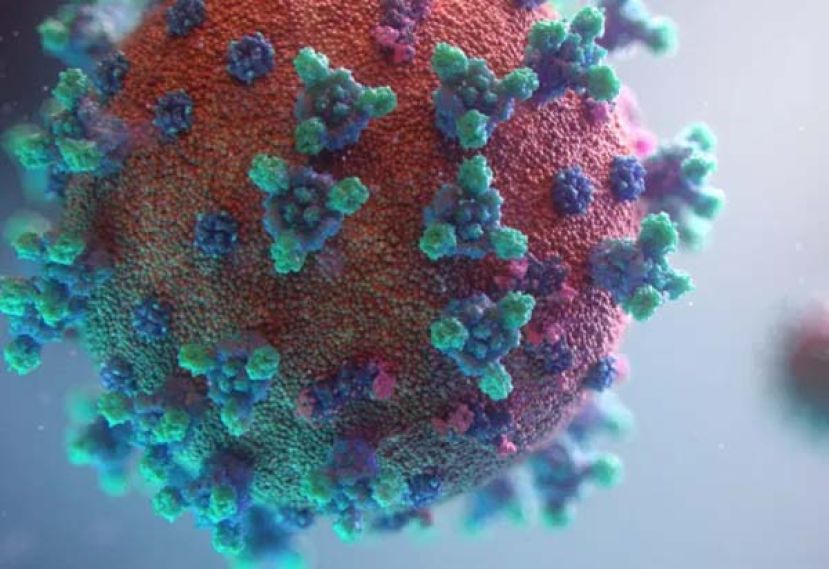 大马冠病与流感疫情受控