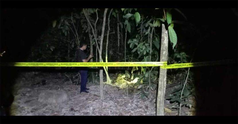 男婴竟被人遗弃  发现时已成一具腐尸