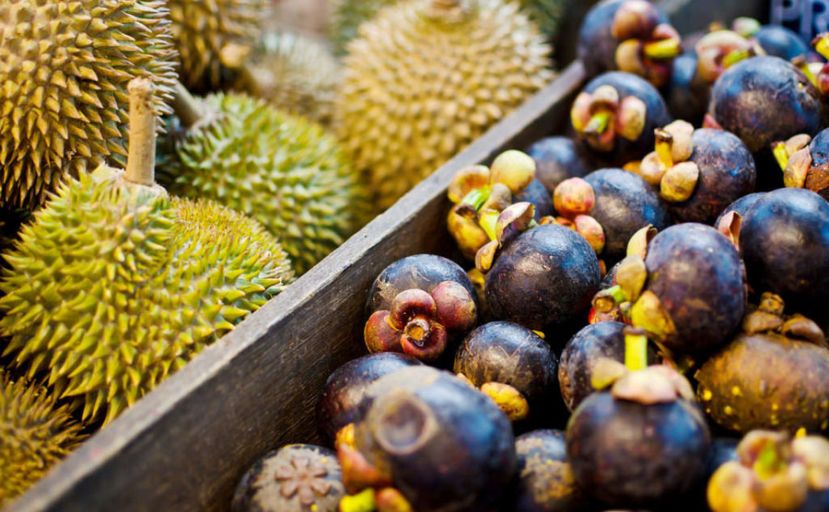 图示：山竹和榴莲经常搭配在一起吃，也有人把它们称作为“夫妻果”。