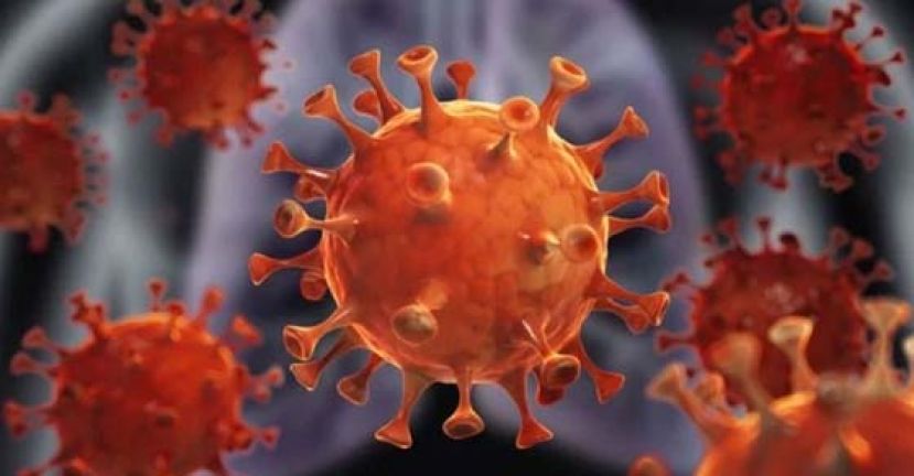 全球确诊数破810万　近44万人病殁