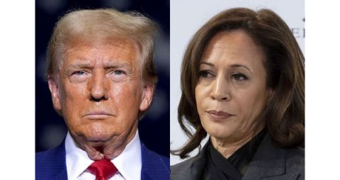 美国选民将选出下任总统，摇摆州选情未见明确领先。