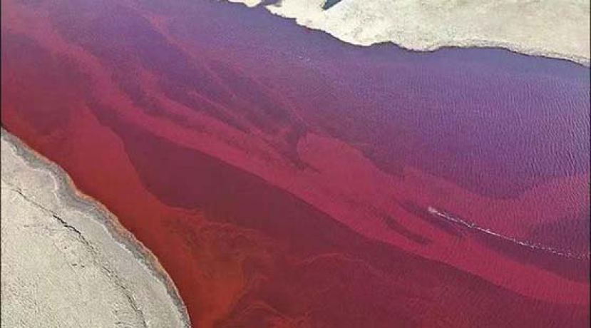 北极圈河流如血般鲜红。