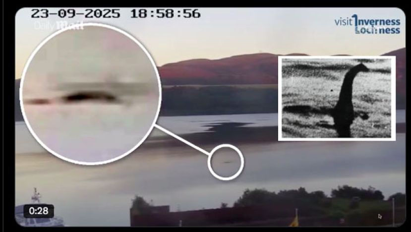 资深尼斯湖怪猎人欧恩．奥法德根近日拍摄到巨大神秘物浮出水面。小图为尼斯湖水怪。