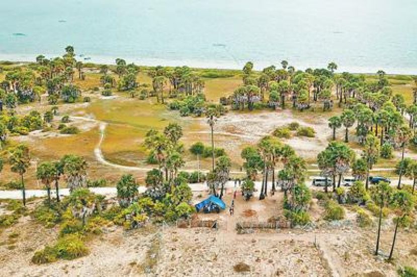 图示：鸟瞰阿莱皮蒂遗址。