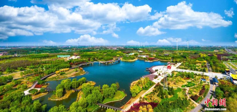 濮阳市国家森林城市主题公园西湖森林公园。