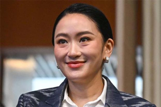 面对违宪案，佩通坦提交辩护材料。