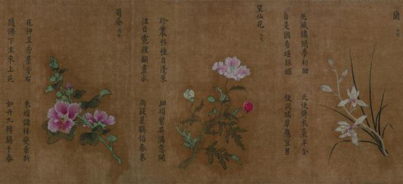 《百花图》卷局部，从左至右分别绘制蜀葵、望仙花、兰。