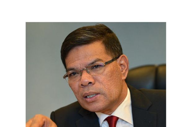 内政部长赛夫丁。