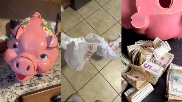 用10.99美元买二手扑满，美国女子竟挖出逾2000美元。