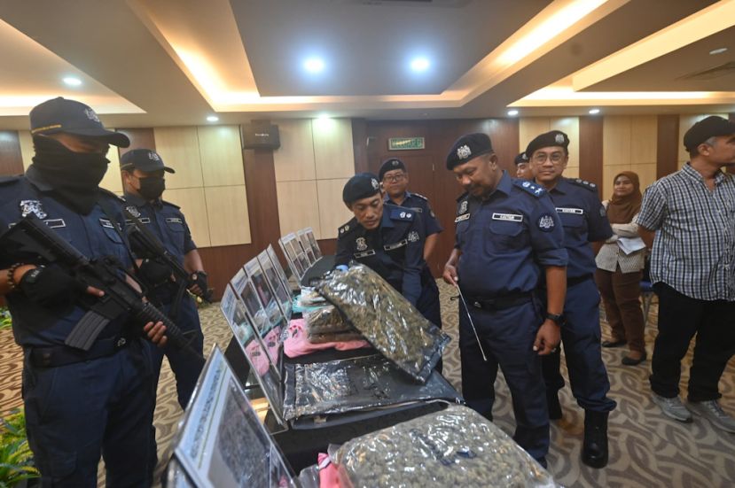 枕头放百万大麻花 快递运英国被拦截