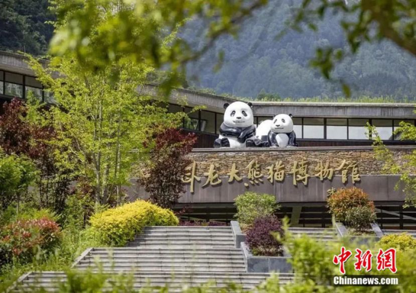 卧龙大熊猫博物馆。