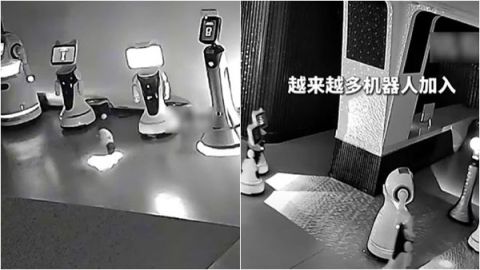 在小机器人的诱拐之下集体翘班。