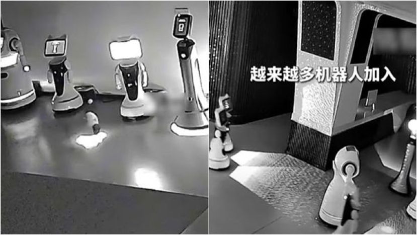 在小机器人的诱拐之下集体翘班。