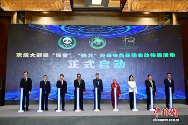 中国野生动物保护协会、中国大熊猫保护研究中心在四川省都江堰市为两只大熊猫举办了欢送仪式。