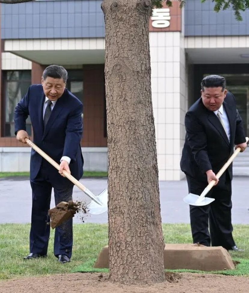 主席习近平（右三）6月9日在金正恩（右二）陪同下，在平壤的朝鲜劳动党中央干部学校一同种下一株枞树。